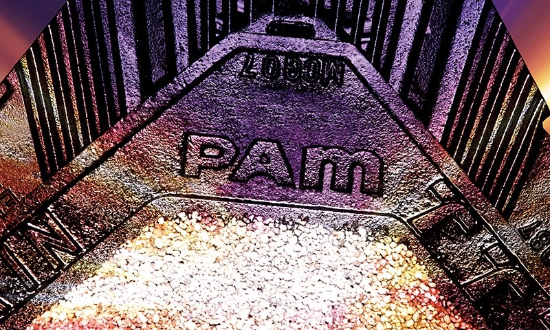 Saint Gobain Pam